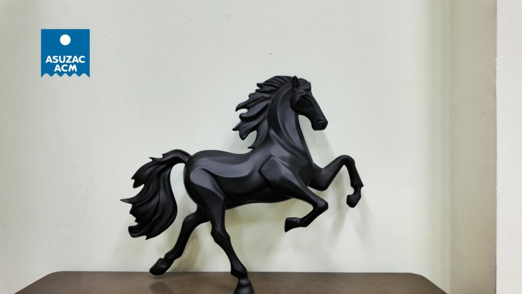 asuzac-acm-decoration-asuzac